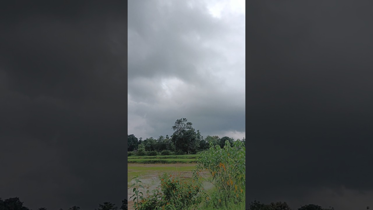 Madhya pradesh weather update today 25 july #shorts