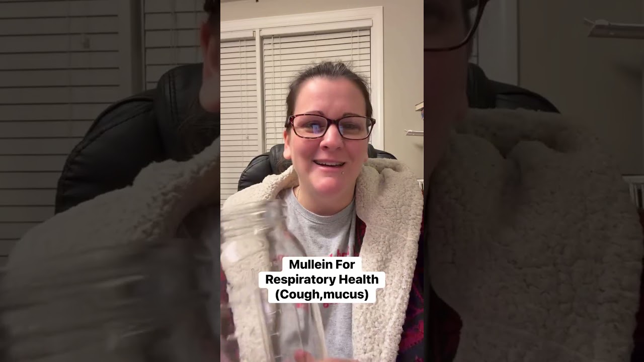 Mullein For Respiratory Support And Cough
