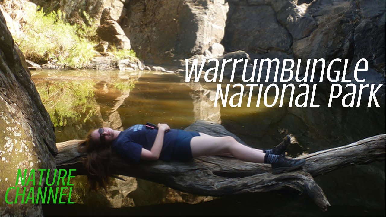 Wandering around the Warrumbungles