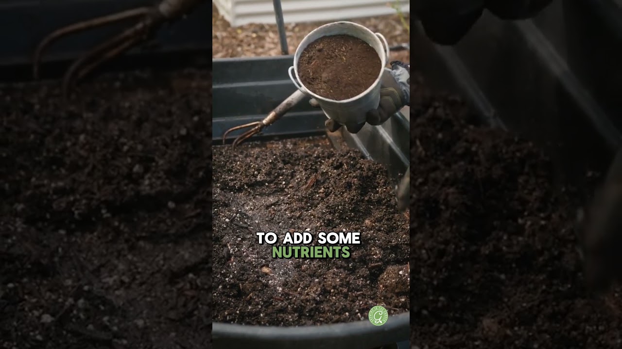 Can You REUSE Potting Soil?