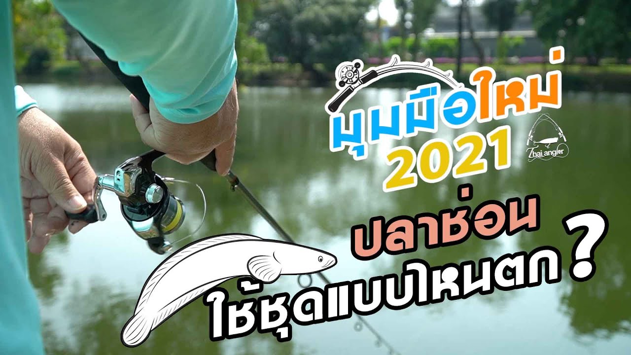 มุมมือใหม่ 2021 จัดชุดตกช่อน
