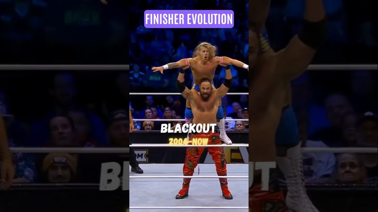 Every FINISHER of Lance Archer !
