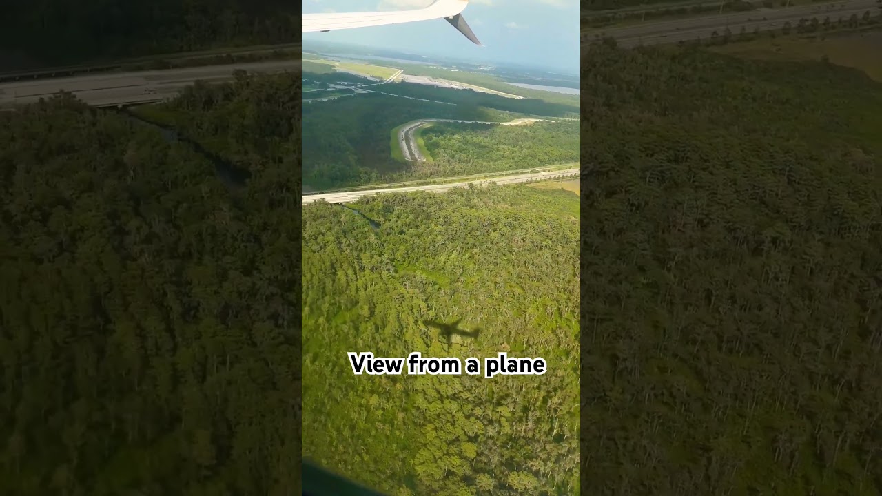 A plane view from above #travel #airplane #sky #green #explore #viewfromabove #air #flying #shorts