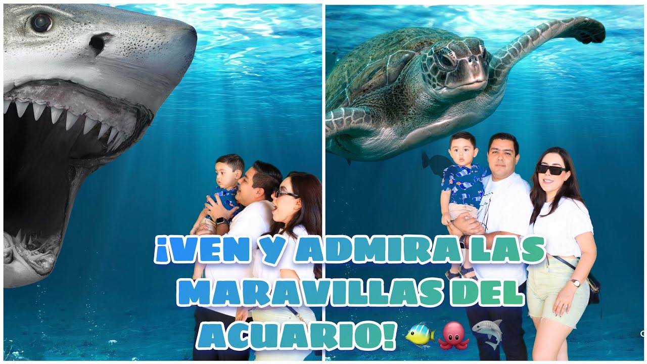 VISITANTO EL GRAN ACUARIO DE MAZATLÁN, SINALOA, MÉXICO🐠🐙🪼🦈🇲🇽(ELGAIL)