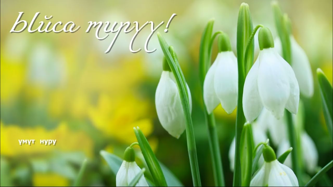 Кудайдын чакырыгы. 22 - январь