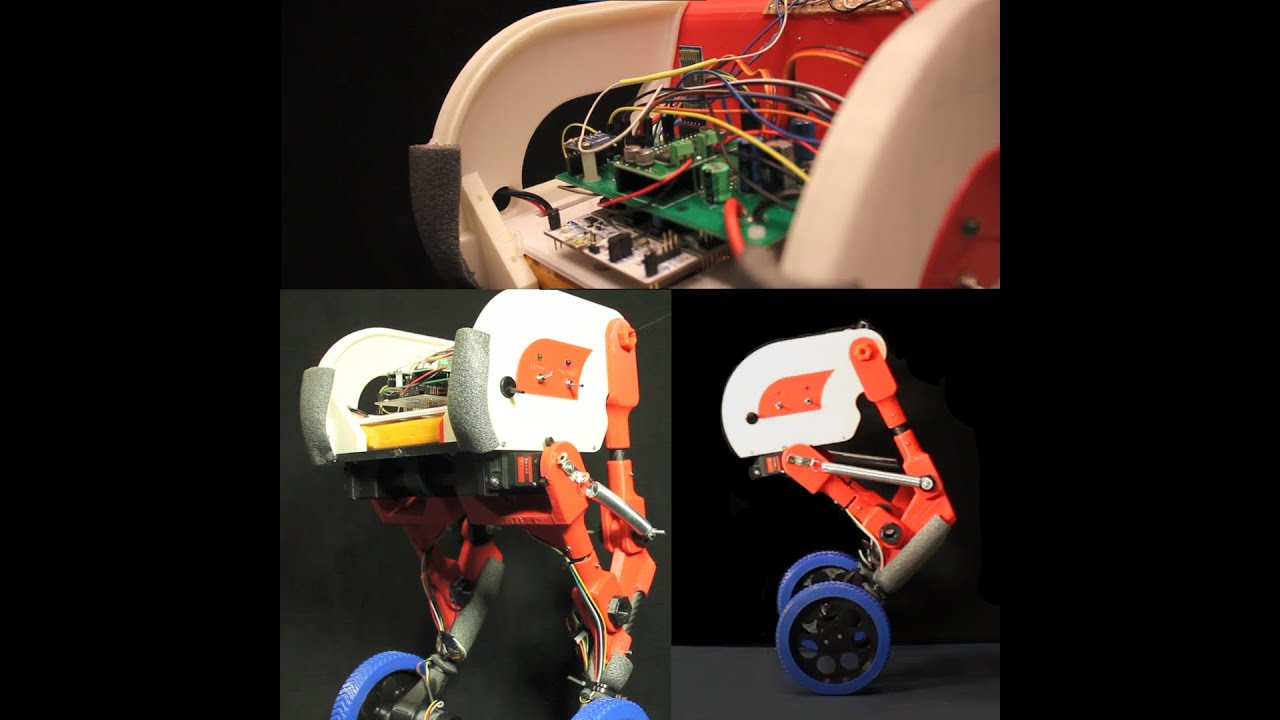 Flex Robotics Project 2022
