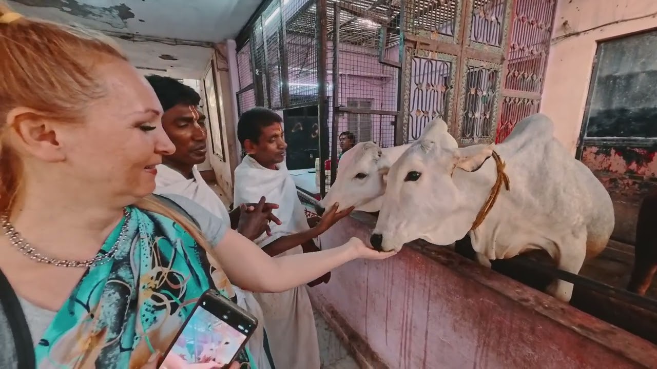Radha Damodar mandir. Rupa Goswami’s place, Srila Prabhupada’s place