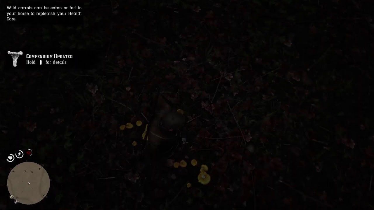 Have Some Faith, Arthur |Red Dead Redemption 2| Pt. 15