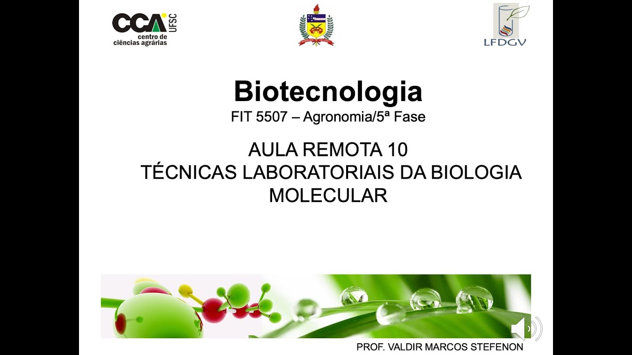 10.Biotec_AulaRemota10 - Técnicas Laboratoriais
