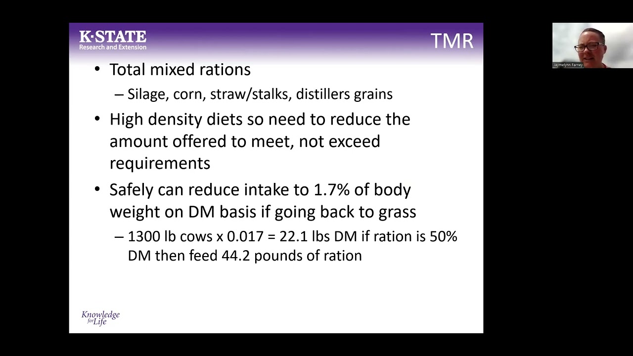 Alternative options for feeding cows during drought