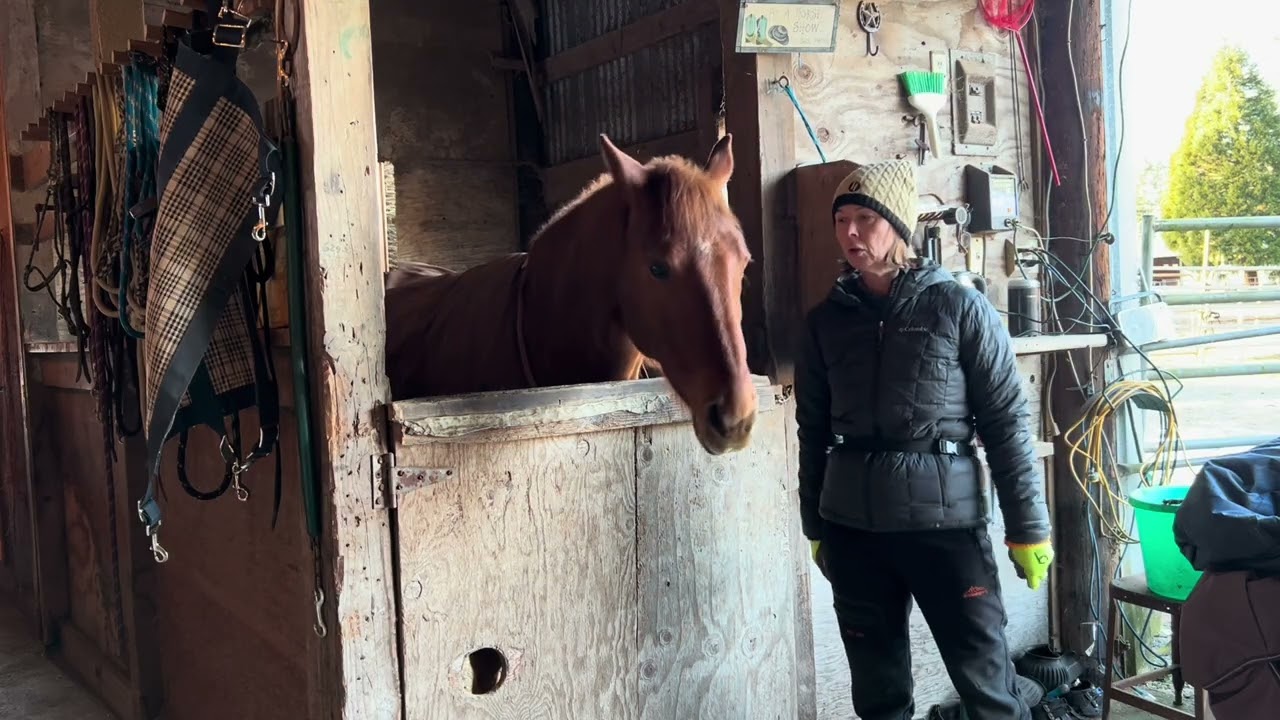 Why Your Horse Has Bad Food Manners