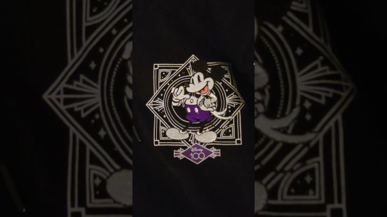 What I bought at Epcot - my shopping haul