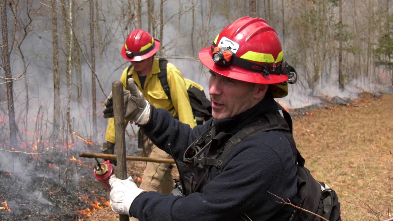 Prescribed Fire Big Woods WMA