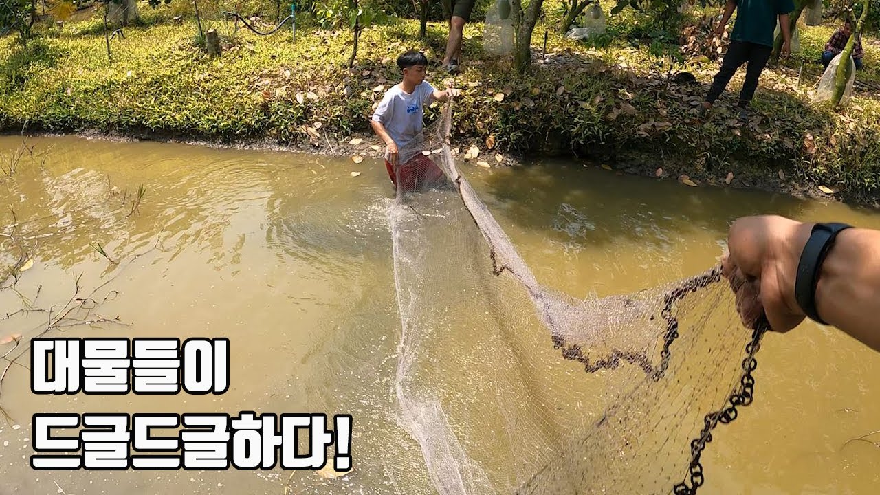 대물들이 득실거리는 농수로를 그물로 훑으면 뭐가 잡힐까?