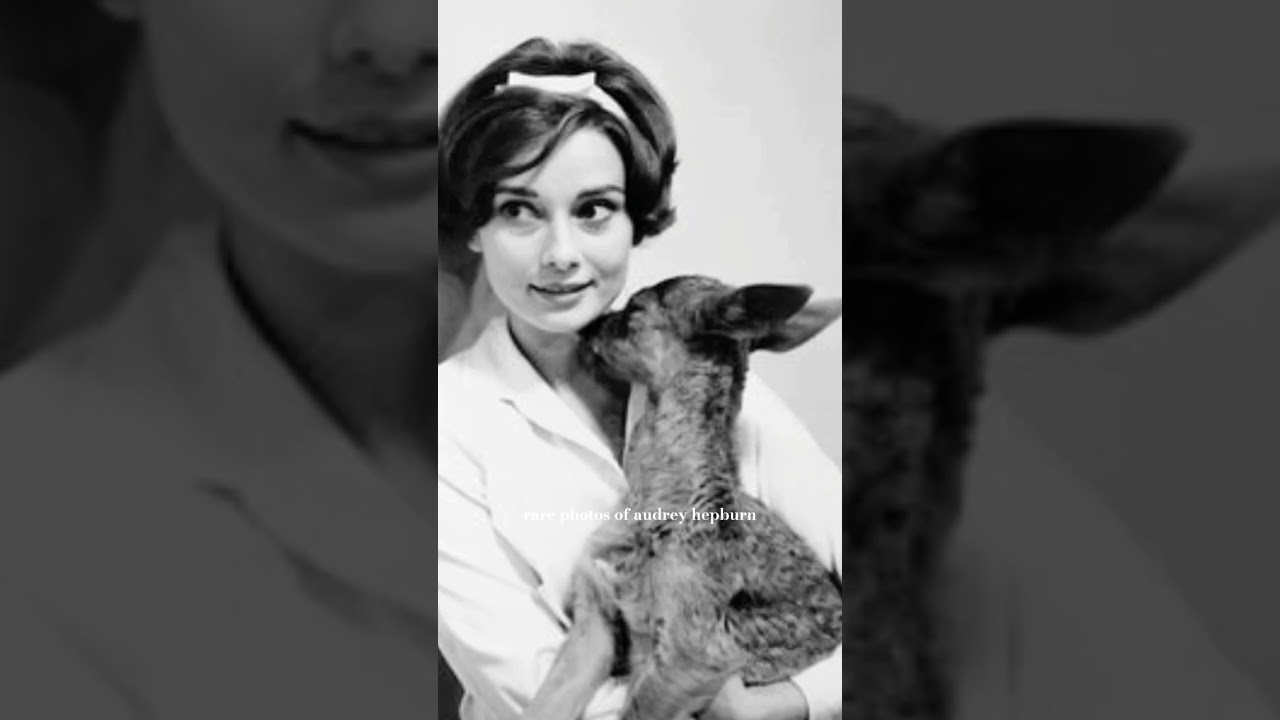 rare photos of audrey hepburn #audreyhepburn #breakfastattiffanys #beauty #icon #vintage #old #fyp #