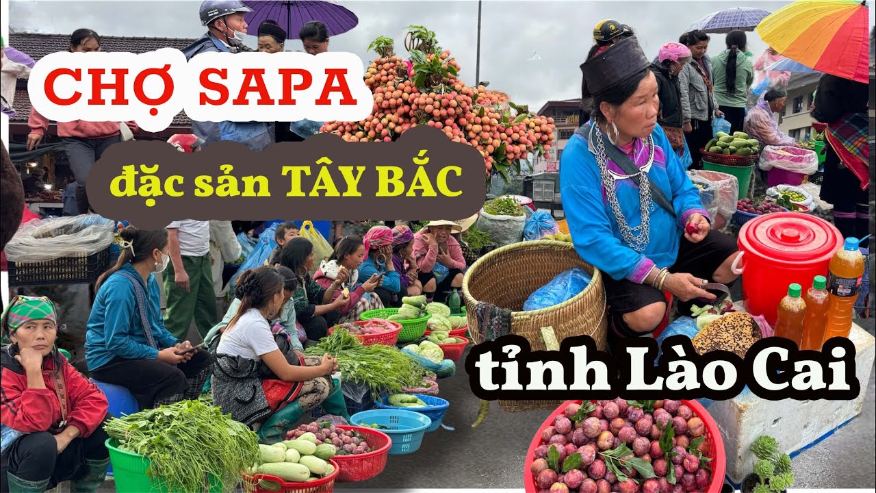 Chợ Sapa quá nhiều Ba kích, mận Mộc Châu, Thắng Cố đặc sản Tây Bắc