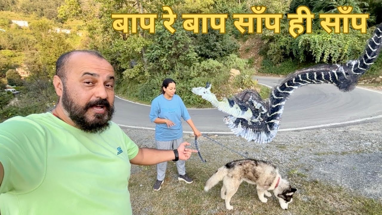 Saanp hi saanp.. baap re baap! | Life & Living in Mountains, Snake season 🐍 