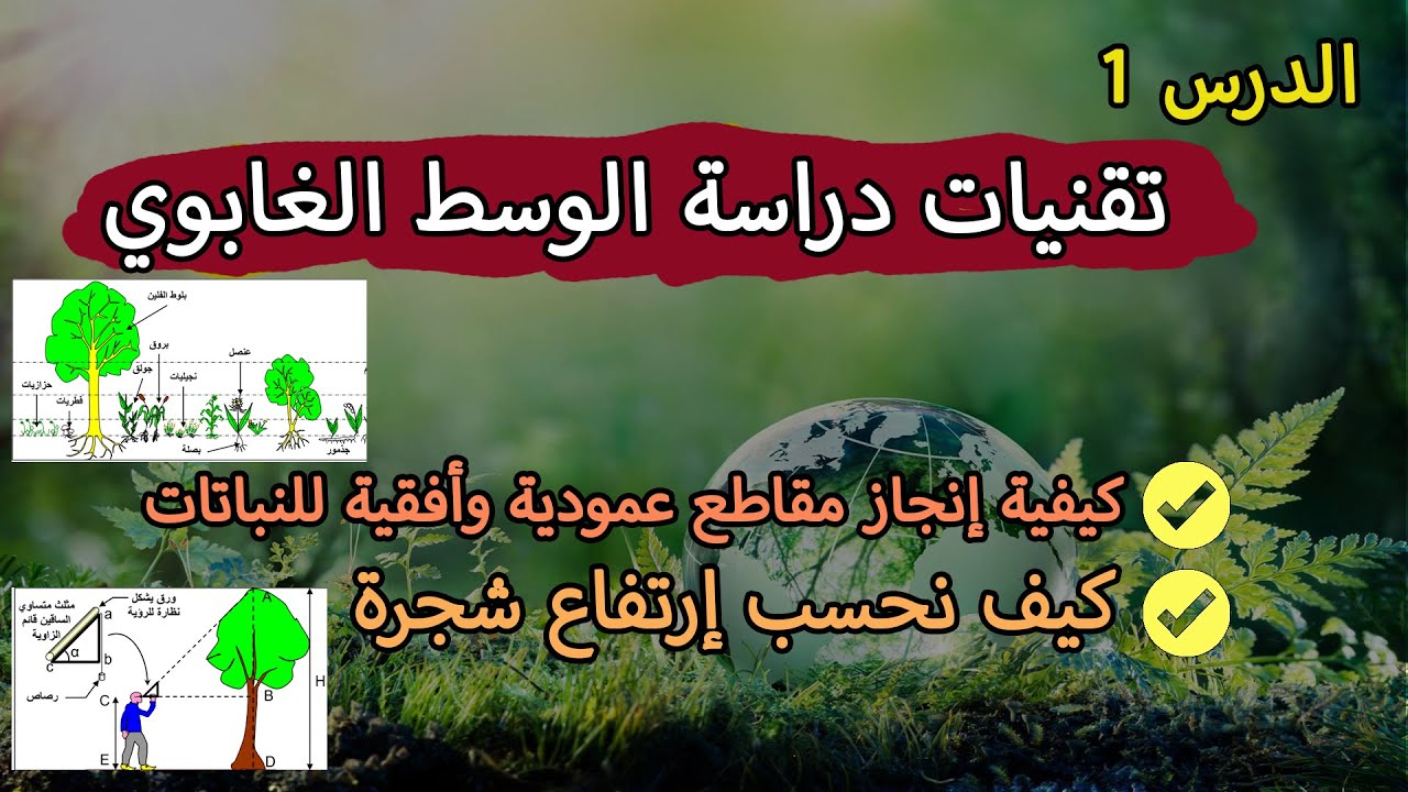 بعض التقنيات الميدانية لعلم البيئة | الجزء 1 : تقنیات دراسة الوسط الغابوي| إنجاز مقاطع عمودیة وأفقية