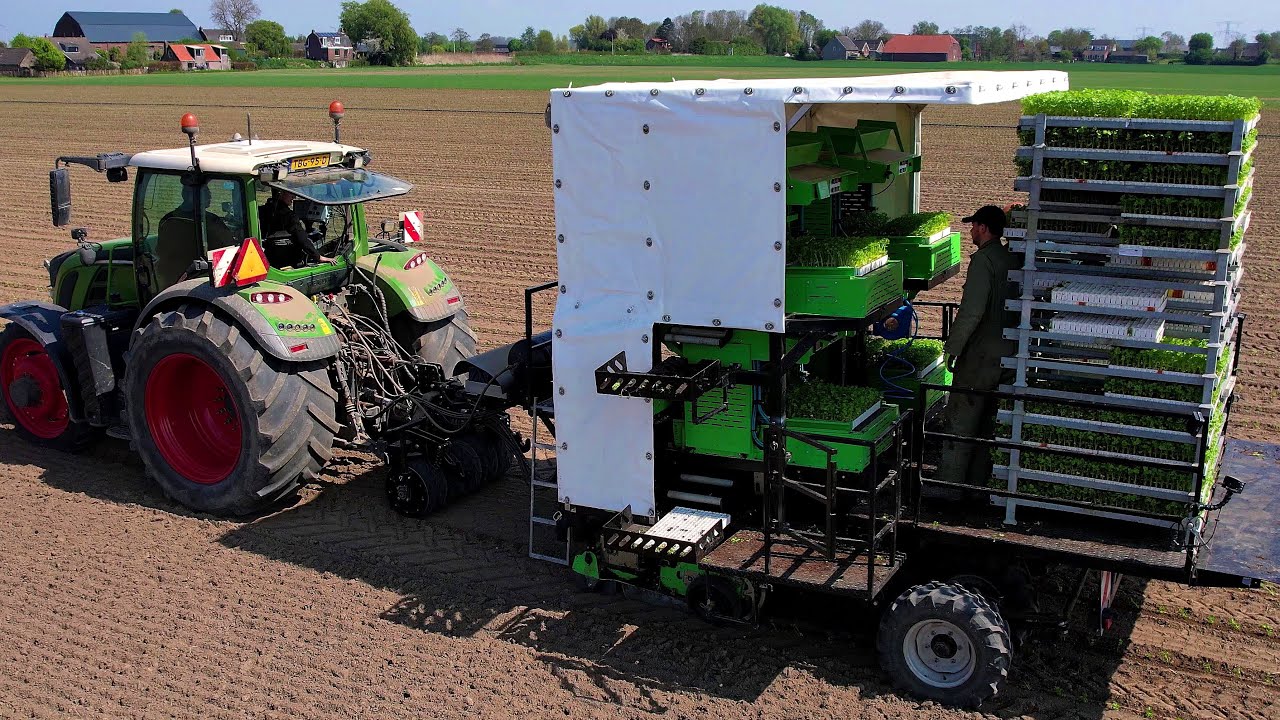 Knolselderij planten | Agriplanter | Fendt | Planting celeriac | Knollensellerie pflanzen