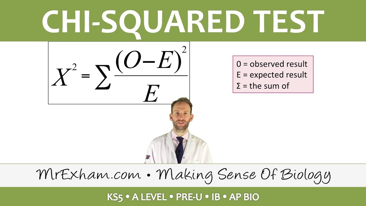 Chi-squared test -  Post 16 Biology (A Level, Pre-U, IB, AP Bio)