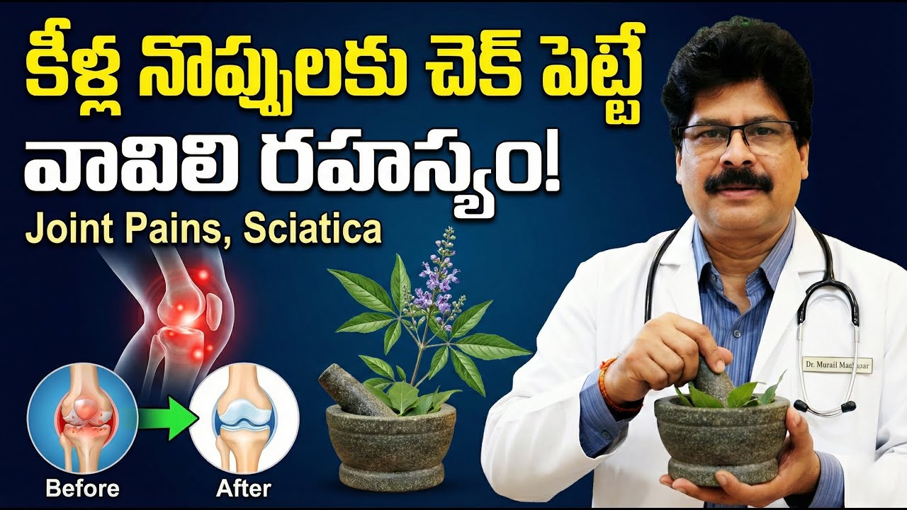 Miraculous Benefits of Nirgundi | కీళ్ల నొప్పులకు చెక్ పెట్టే వావిలి రహస్యం! Dr.  Ch. Murali Manohar