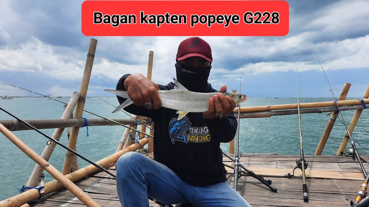 Trip bagan popeye G228