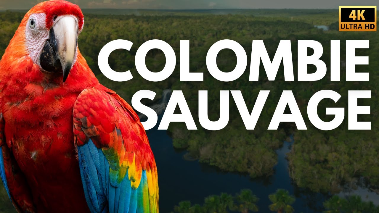 COLOMBIE SAUVAGE - Les Gardiens de l'Équilibre Naturel | Documentaire Complet