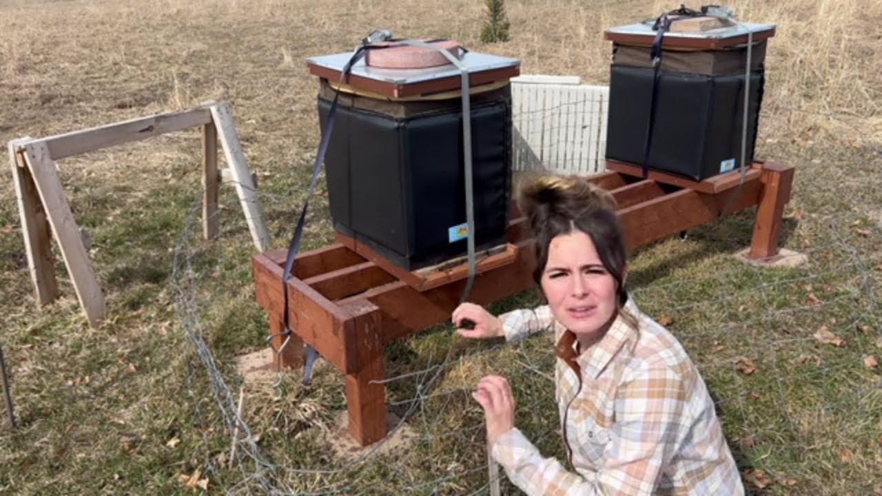 What A Day Is Like On The Homestead | My Homesteading Schedule