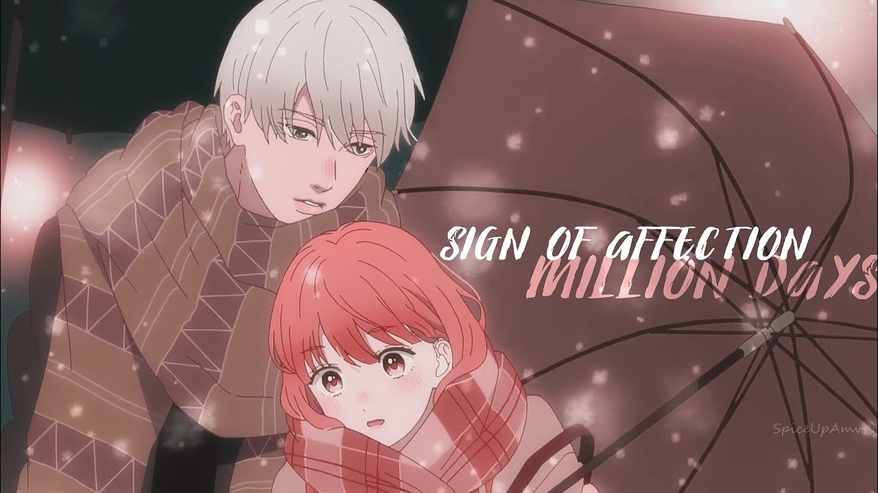 A Sign Of Affection [ A M V ] A Million Days