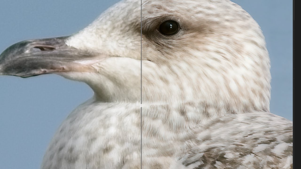 ON1 Resize AI 2026 Test d’Agrandissement d’une Photo Recadrée x4 Netteté et Détails Impressionnants
