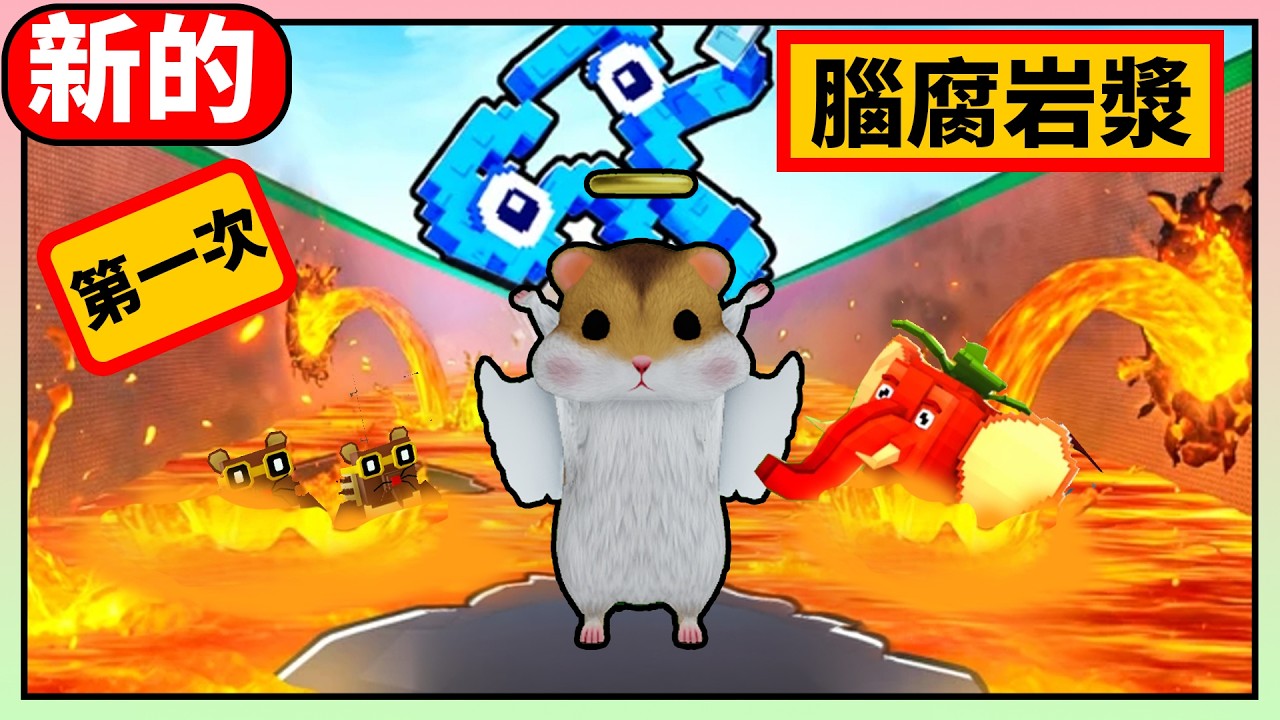 🔥生存於熔岩中以獲得大腦機🔥這個岩漿搞得我快瘋了 🔥Survive LAVA forBrainrots🔥『綿綿』『Roblox』CC字幕