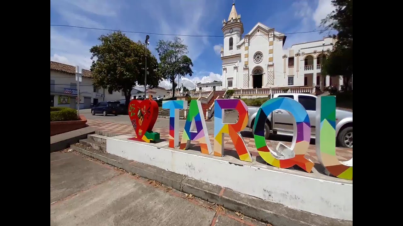 Tarqui 