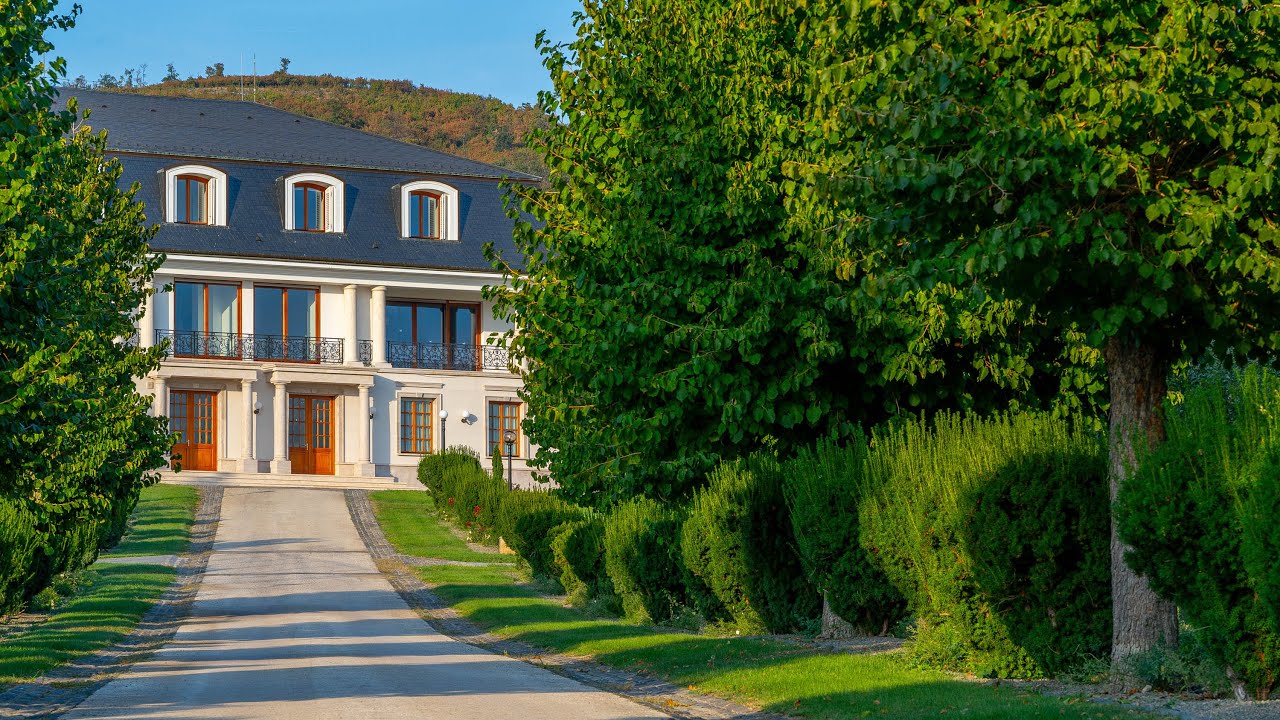 Grand Villa with Tennis, Football Grounds, and Winery - Cinematic Real Estate Video