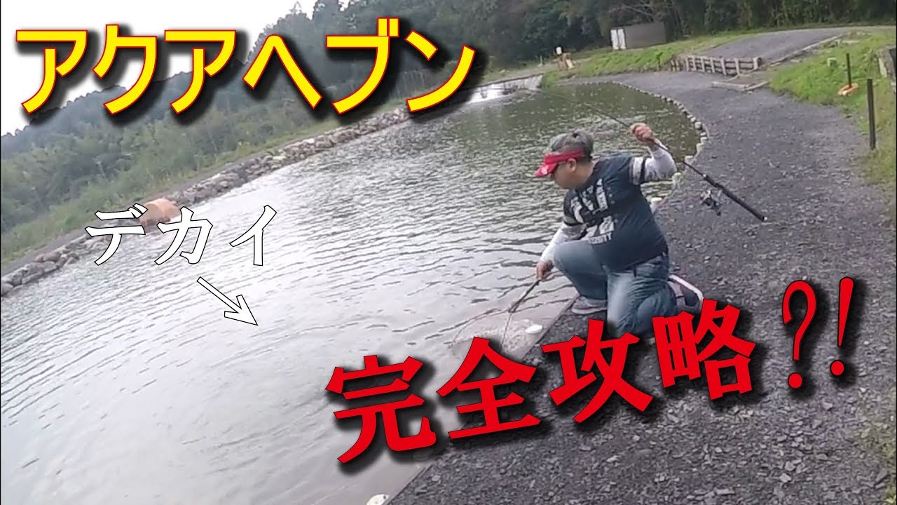【実釣】アクアヘブン完全攻略?!
