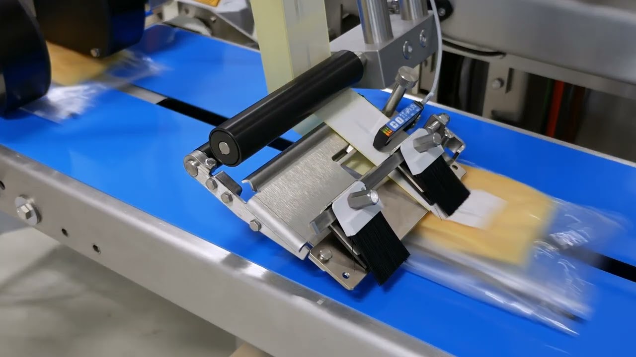 MULTIVAC L 310 Conveyor Belt Package Labeling Solutions