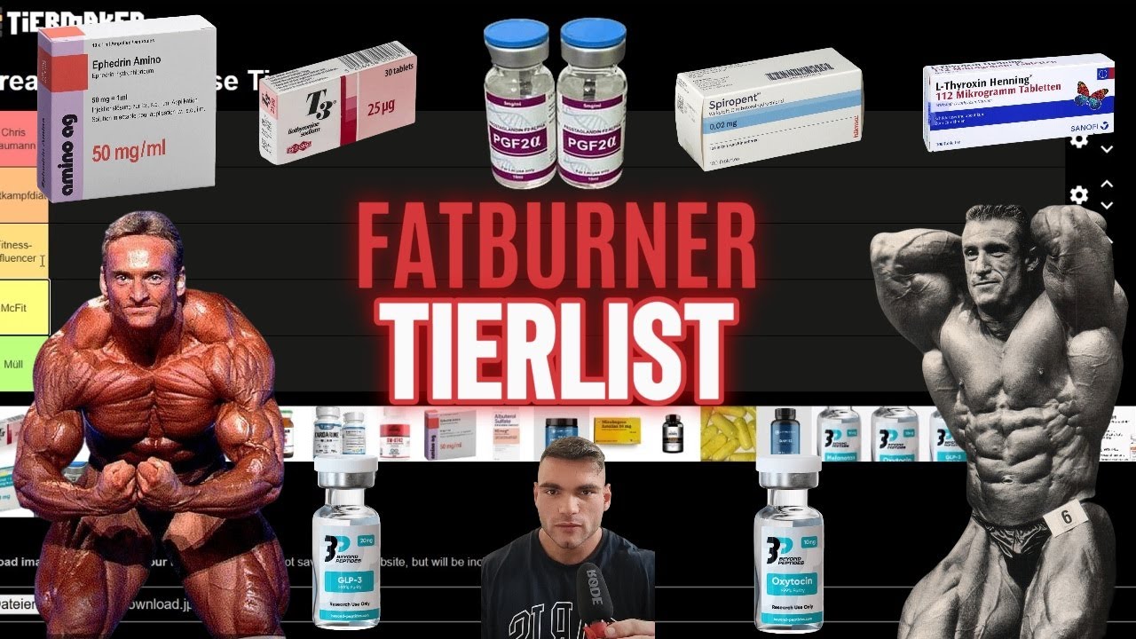 Die St&auml;rksten Fatburner - Tier Liste