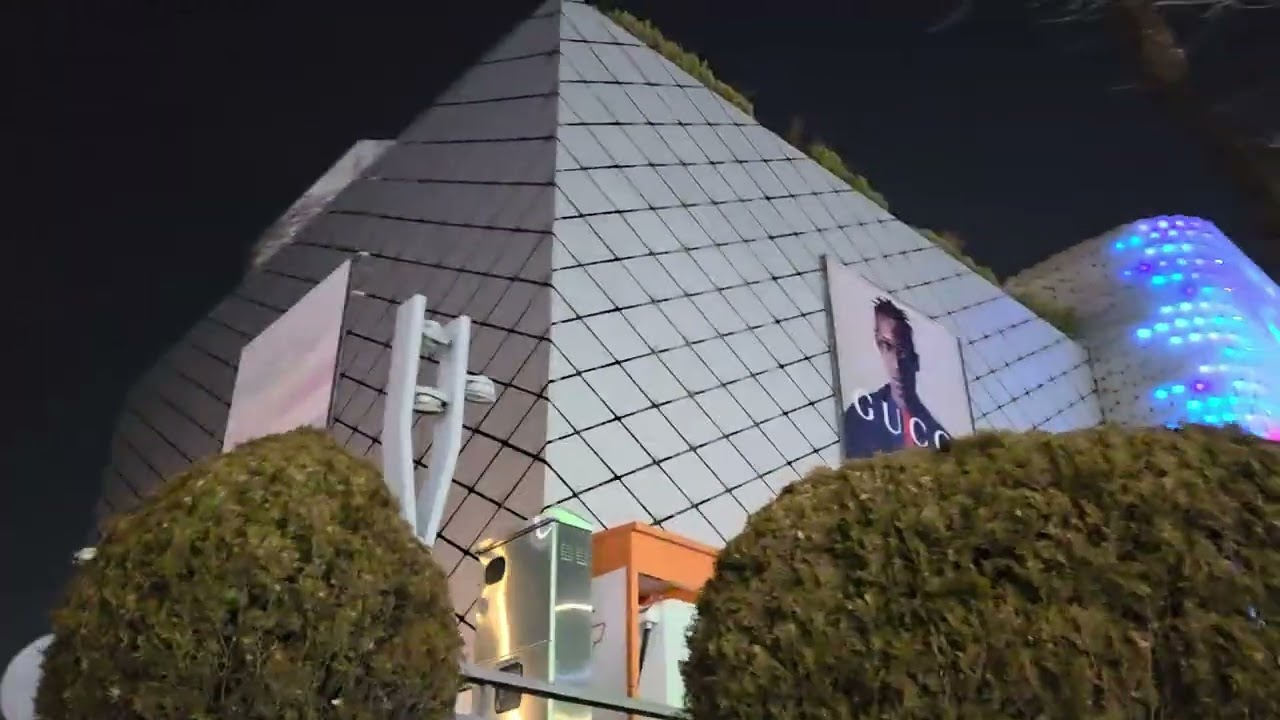 2026년 2월 서울 압구정동 갤러리아백화점 WEST를 둘러보며
