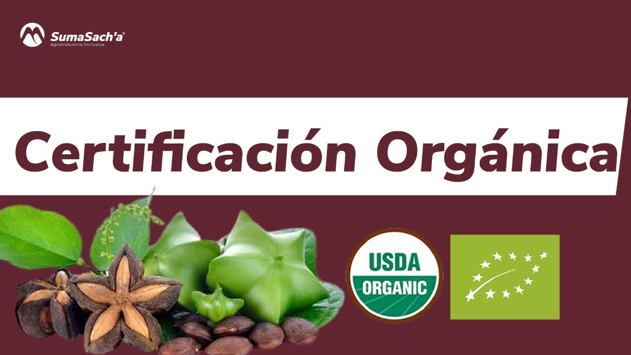 💰🌱 Negocios | Certifícate utilizando la plataforma SachaColombia y ahorra $50.000