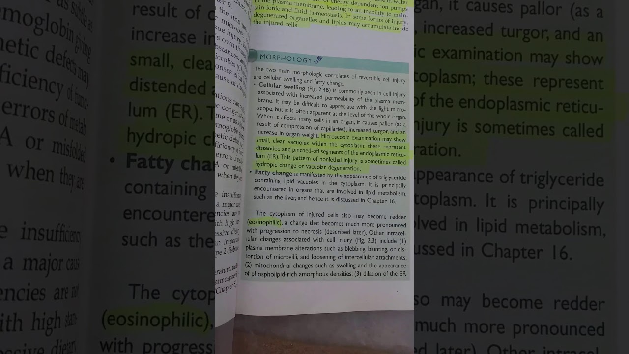 Cell injury part 2(morphology of reversible injury)