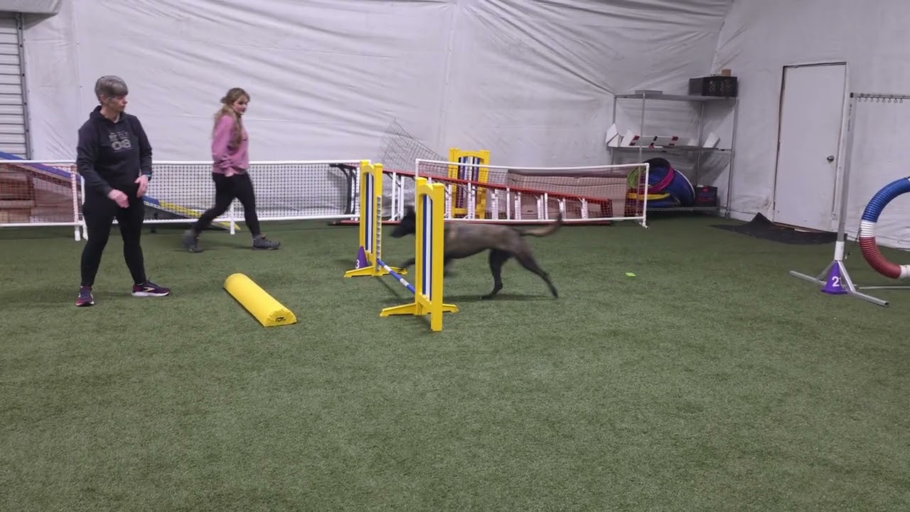 Sekas Agility Journey February 23, 2026