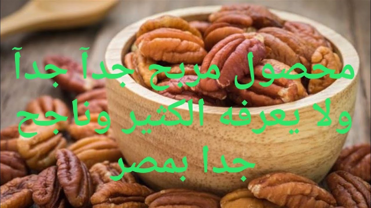 نبات مربح جدا ومهم جدا للصحةويغفل عنه الكثير (البيكان) أو الجوز الامريكي