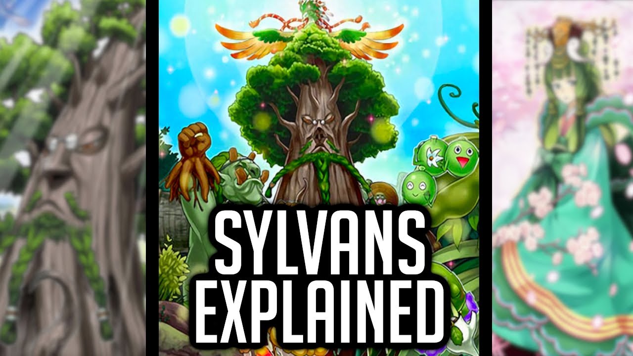 Sylvans Explained In 22 Minutes [Yu-Gi-Oh! Archetype Analysis]