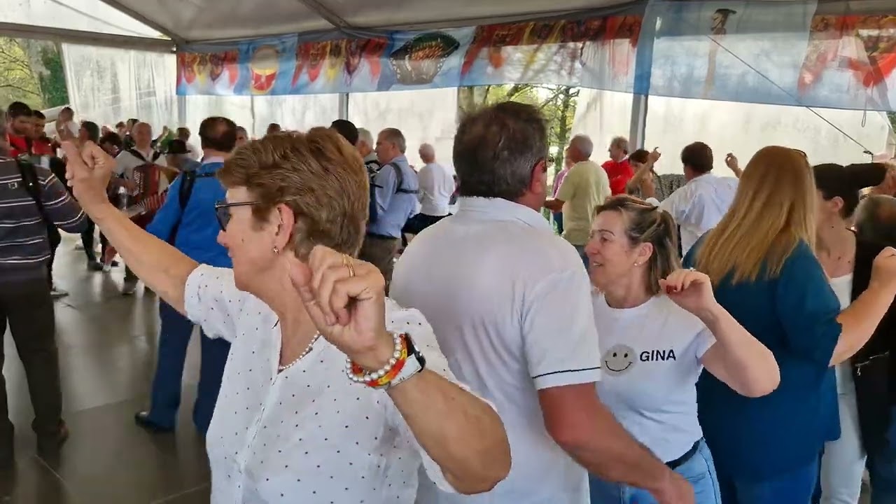 m&uacute;sica tradicional portuguesa, dan&ccedil;as ponte da barca