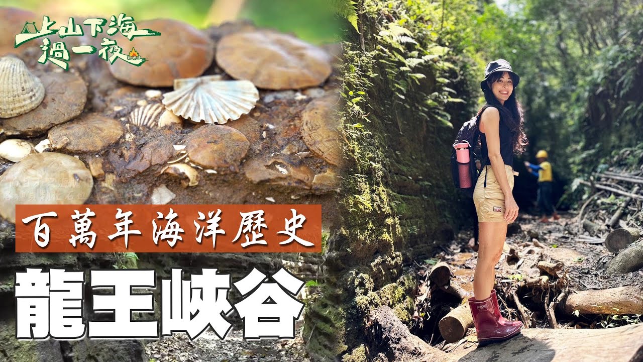 台灣唯一的海膽化石集中區！滿山滿谷的海膽化石 鑲嵌在峽谷峭壁的鐘乳石 台灣海洋的成長痕跡全紀錄 百萬年前的海底龍宮就在苗栗龍王峽谷！｜上山下海過一夜 精華