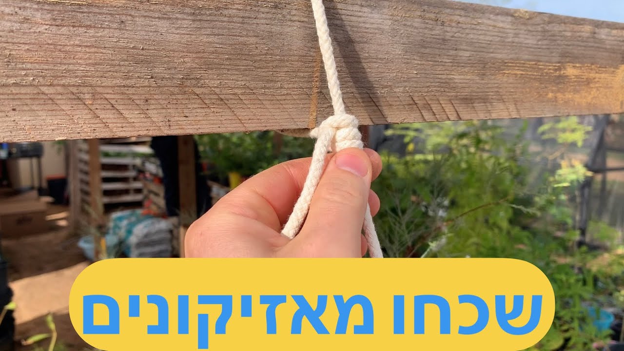הקשר הזה יחליף לכם אזיקונים