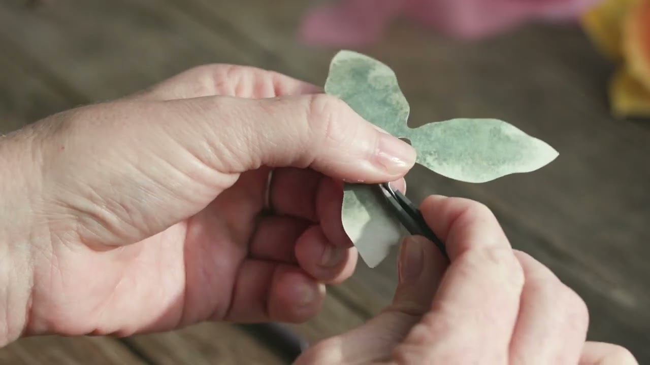 Foliage | Bouquet in a Book Spring