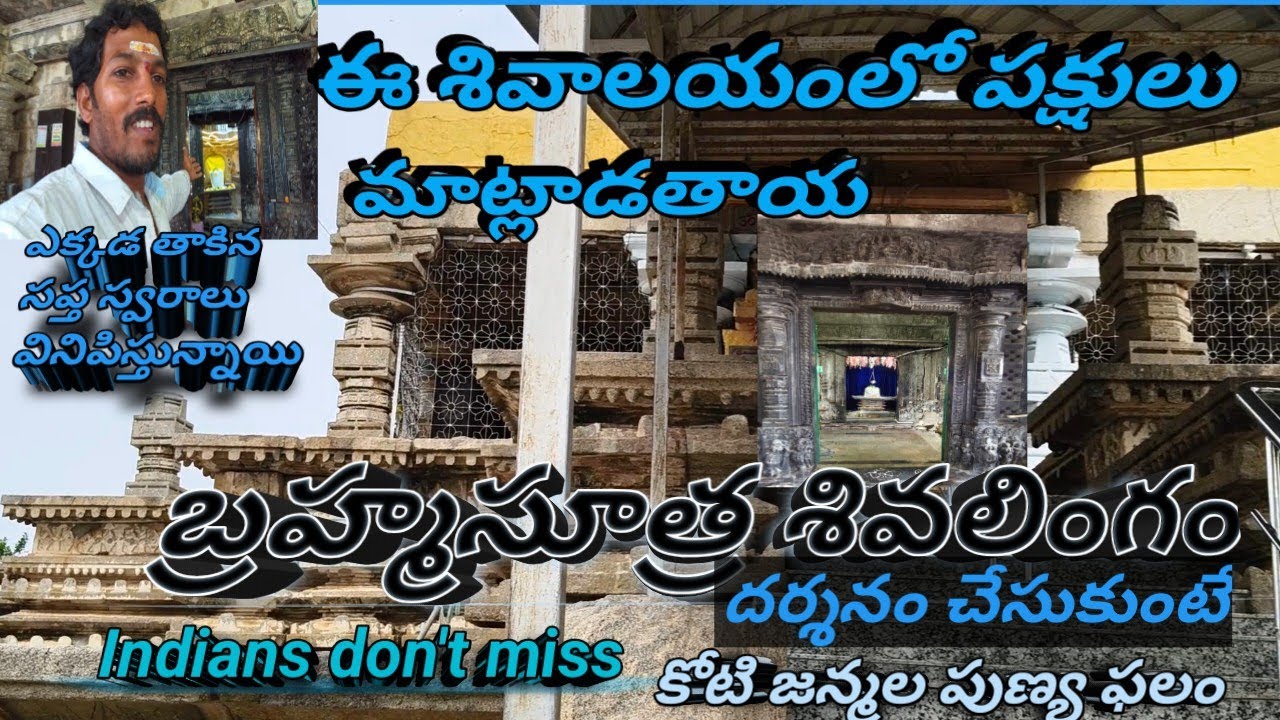 ఈ శివాలయంలో పక్షులు మాట్లాడతాయా బ్రహ్మసూత్ర శివలింగం ఎక్కడ తాకినా సప్తస్వరాలు పలుకుతాయి historical🇮🇳