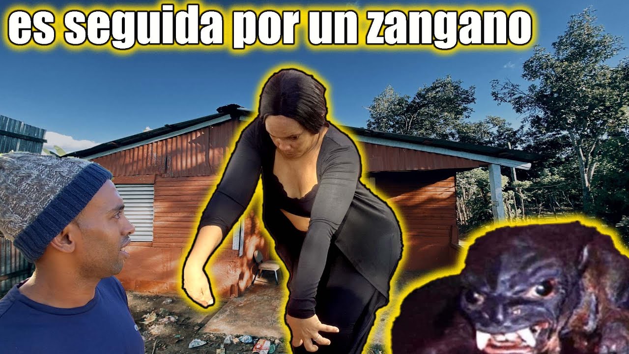 ES seguida POR un zangano y NO sabe que hacer