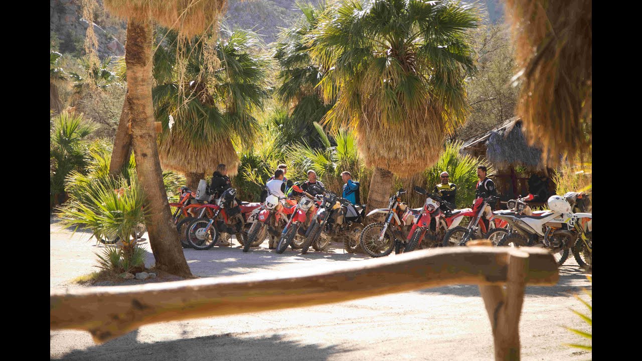 Baja Oasis Trail Ride with Colton Udall