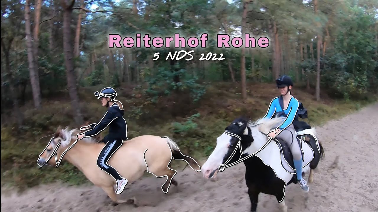 Reiterhof Rohe - Sommer 5 NDS 2022